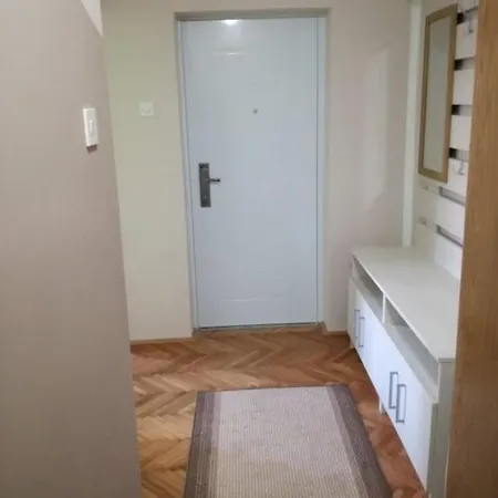 Διαμέρισμα Stan Na Dan Αλέξινατς