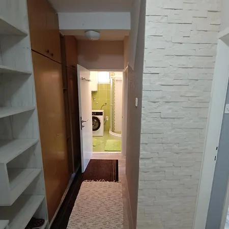 Stan Na Dan Διαμέρισμα Αλέξινατς